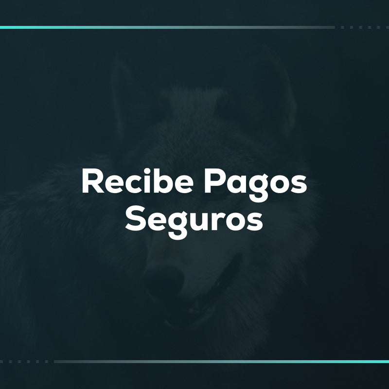 Conexión de Pasarela de Pago