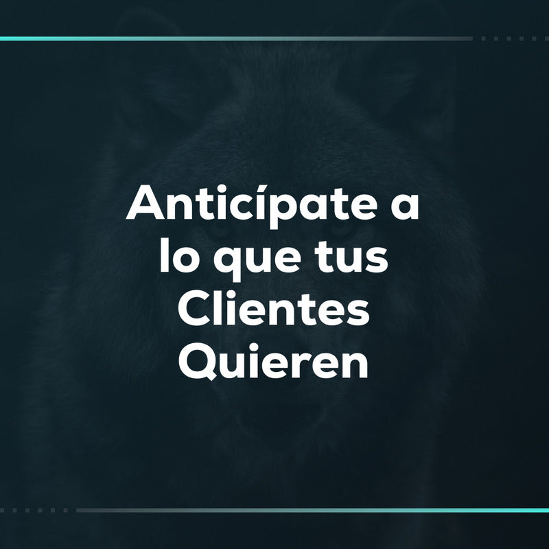 Anticípate a lo que tus clientes quieren: configuración de búsqueda predictiva en Shopify