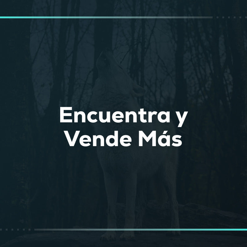 Encuentra y vende más: configuración de filtros de búsqueda en Shopify