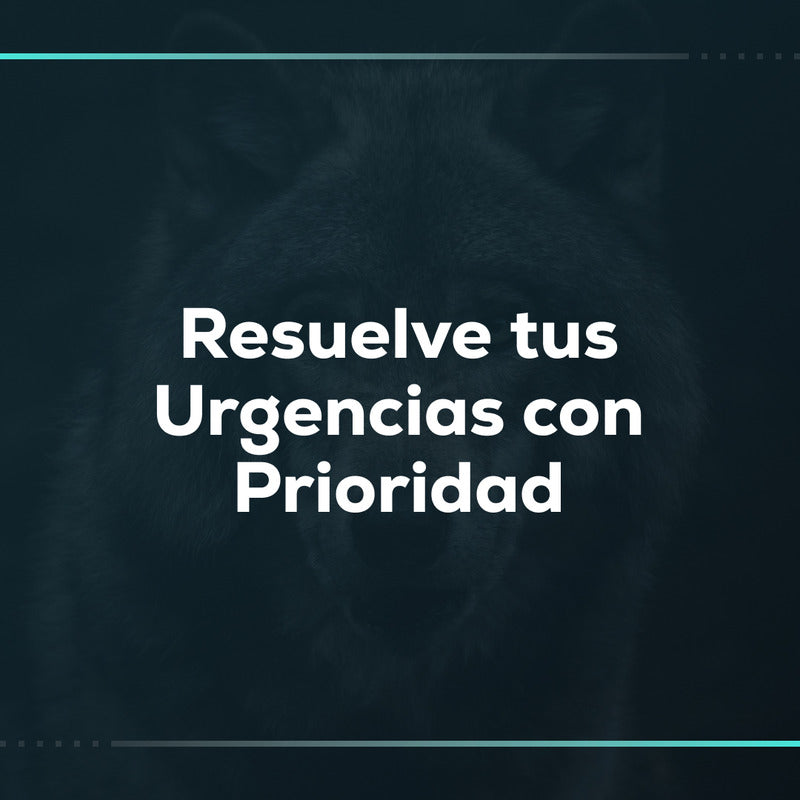 Resuelve tus urgencias con prioridad: hora de soporte SOS en Shopify